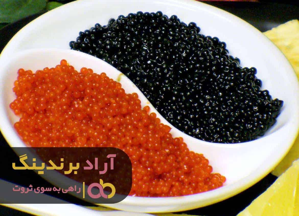آیا حس تلقین و تکرار در جملات ثروت می تواند کارساز باشد