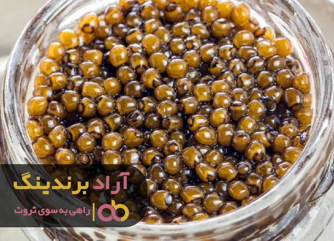 word image 211491 1 - فرصتهای طلایی پول ساز را با این روش از دست ندهید -