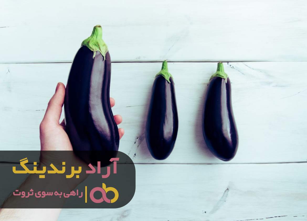 word image 211924 2 - ثروت را با بادمجان تجربه کرده ام -