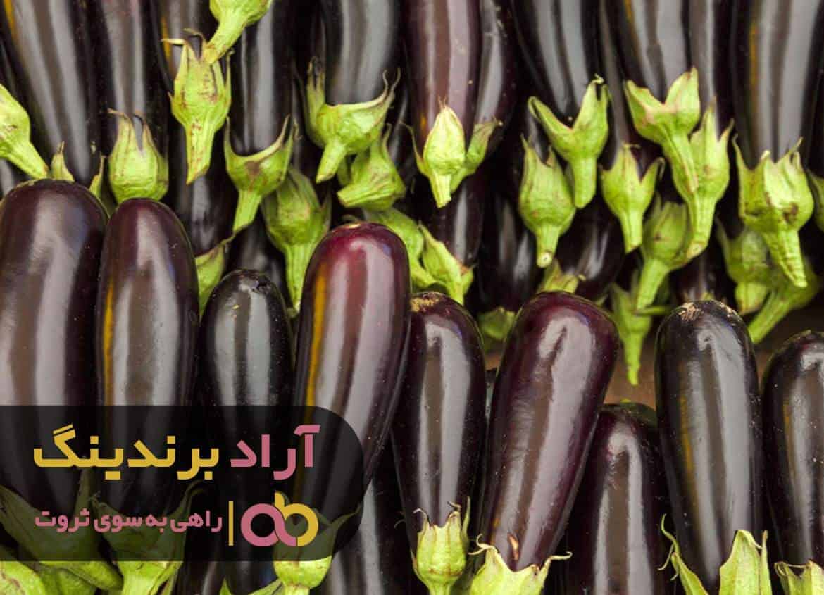 ثروت را با بادمجان تجربه کرده ام