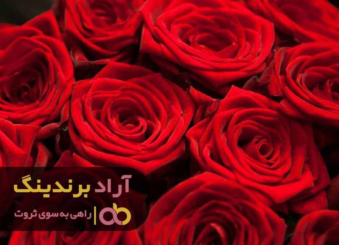 گل های زندگی ام را به ثروت تبدیل کردم