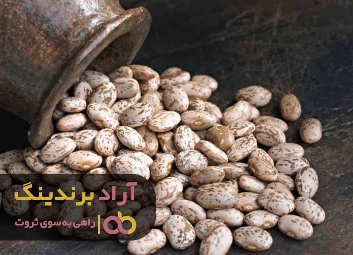 C:\Users\Zahra Afshar\Desktop\logo (40).jpg