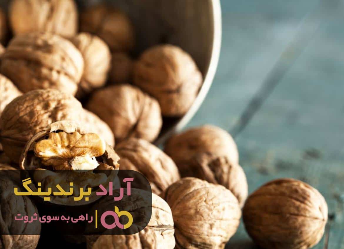word image 212461 1 - با شبکه ارتباطی قوی ای که ایجاد کردم آرزوهام تحقق یافت -