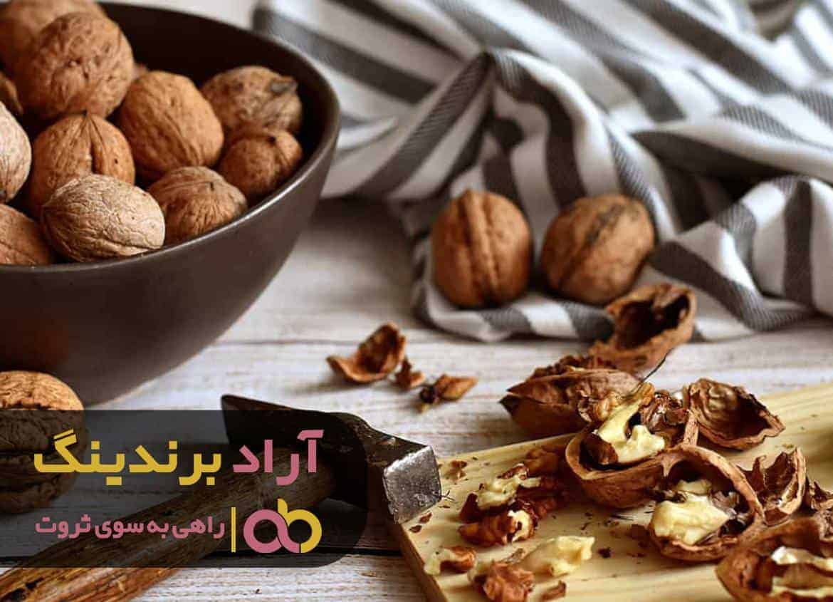 با شبکه ارتباطی قوی ای که ایجاد کردم آرزوهام تحقق یافت