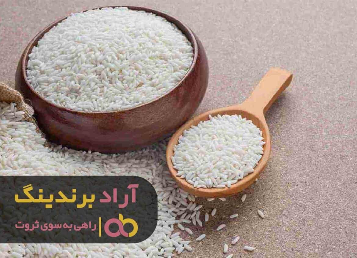 word image 212462 1 - با کارآفرینی در برنج ثروتم به تعداد دانه ‌های برنج رشد کرد -