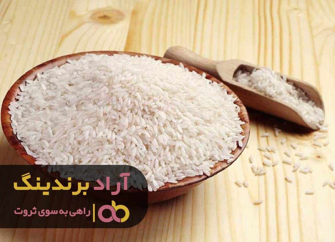 word image 212462 3 1 - با کارآفرینی در برنج ثروتم به تعداد دانه ‌های برنج رشد کرد -