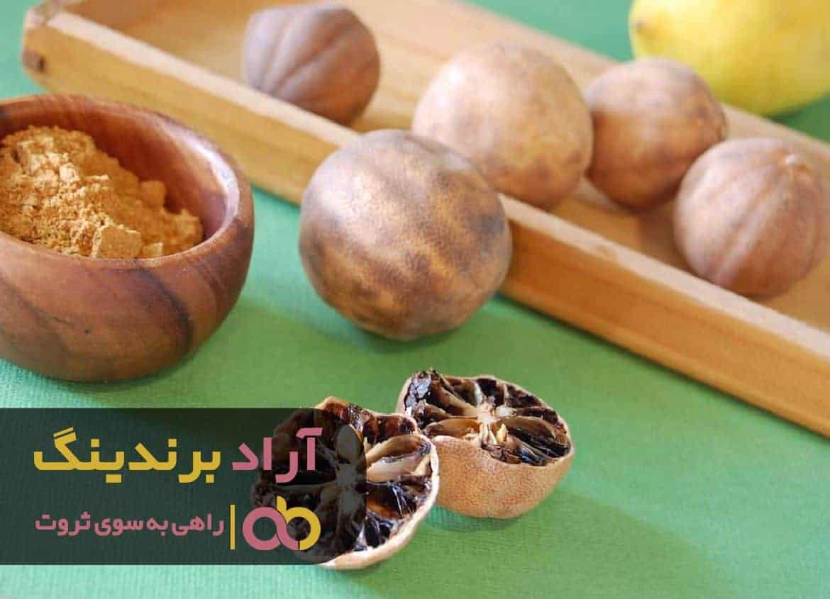 محصول بی‌ نظیری که نیرو محرکه‌ من در مسیر موفقیت بود