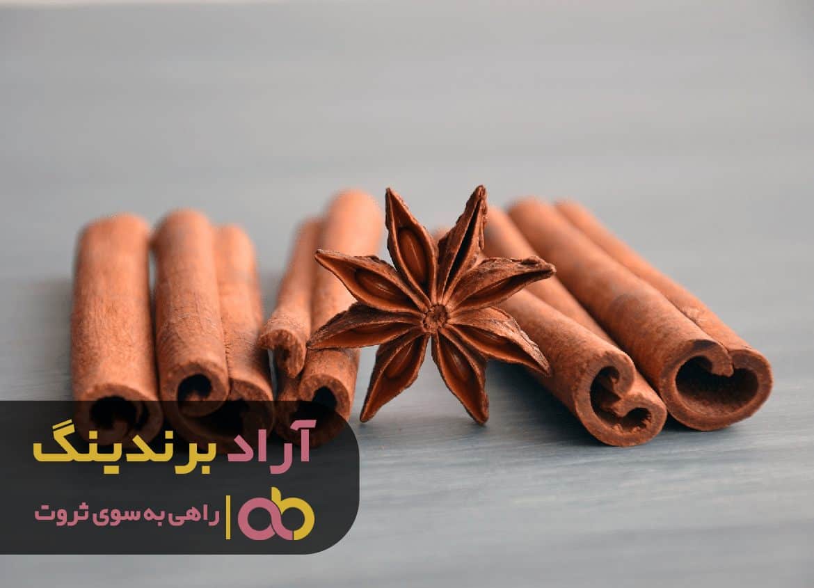 اکسیر ثروت آفرینی را با این محصول بدست آوردم