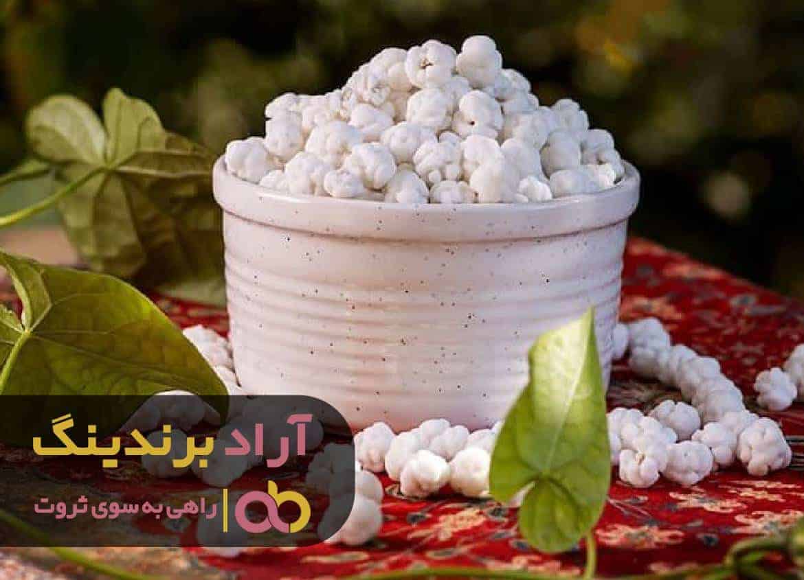 با کارآفرینی توانستم ثروت را رام خود کنم 3 C:\Users\Arad\Downloads\Logo (58).jpg