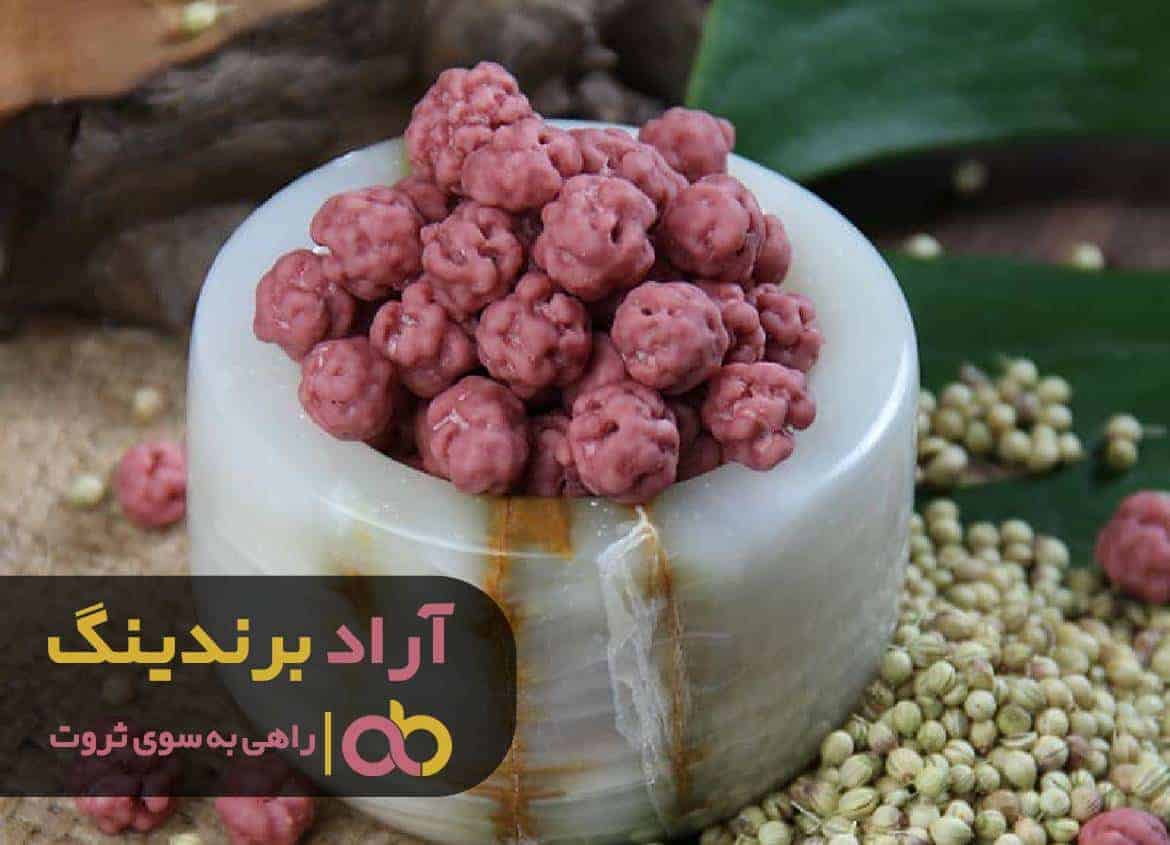 با کارآفرینی توانستم ثروت را رام خود کنم