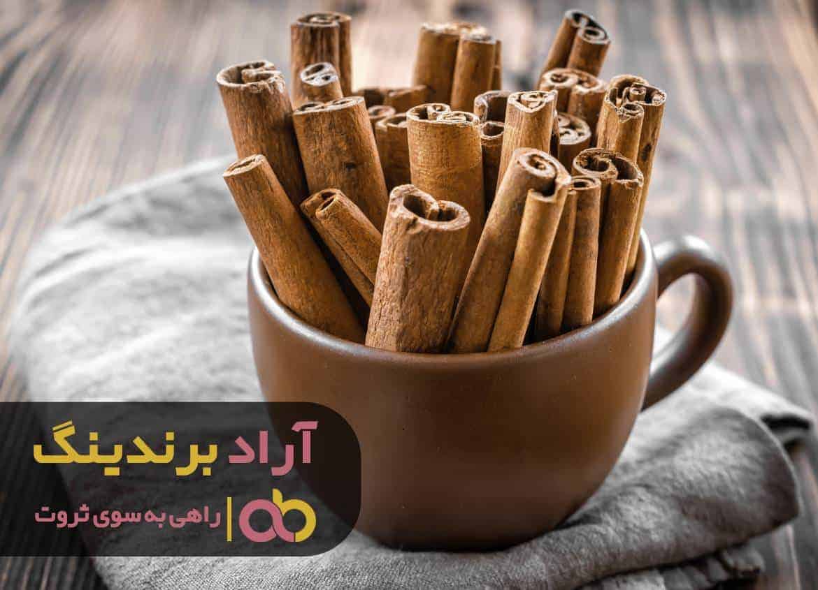 ثروتمندان با سوخت ریسک پذیری ماشین ثروت ساز را می رانند
