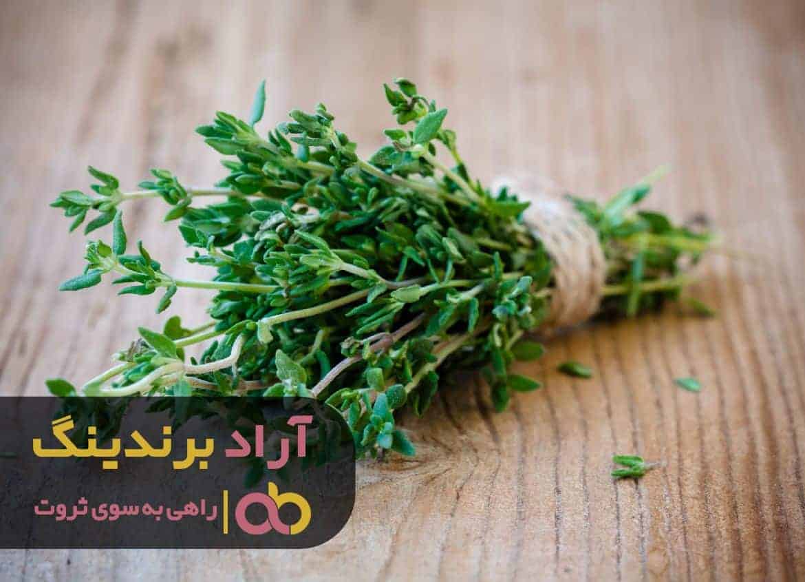 word image 215665 1 - محصولی که مرا در ثروت آفرینی نام‌ آور کرد -