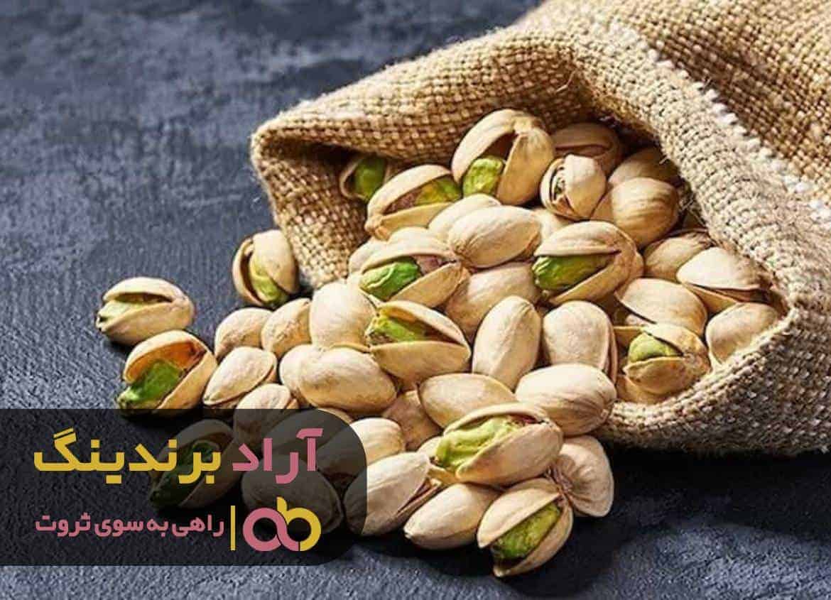 مشکلات مالی را با درآمد دلاری حل کردم