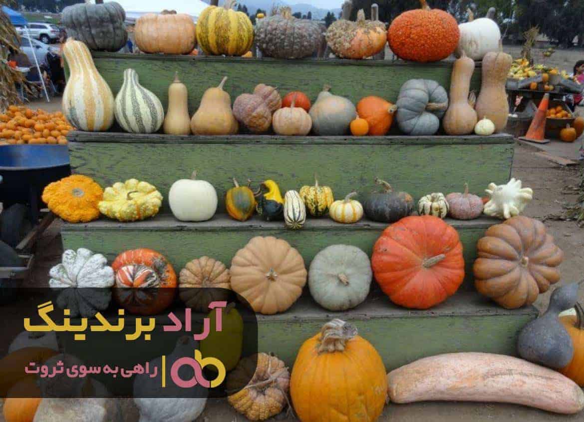 word image 219030 2 - تقویت بتاکاروتن با کدو حلوایی -
