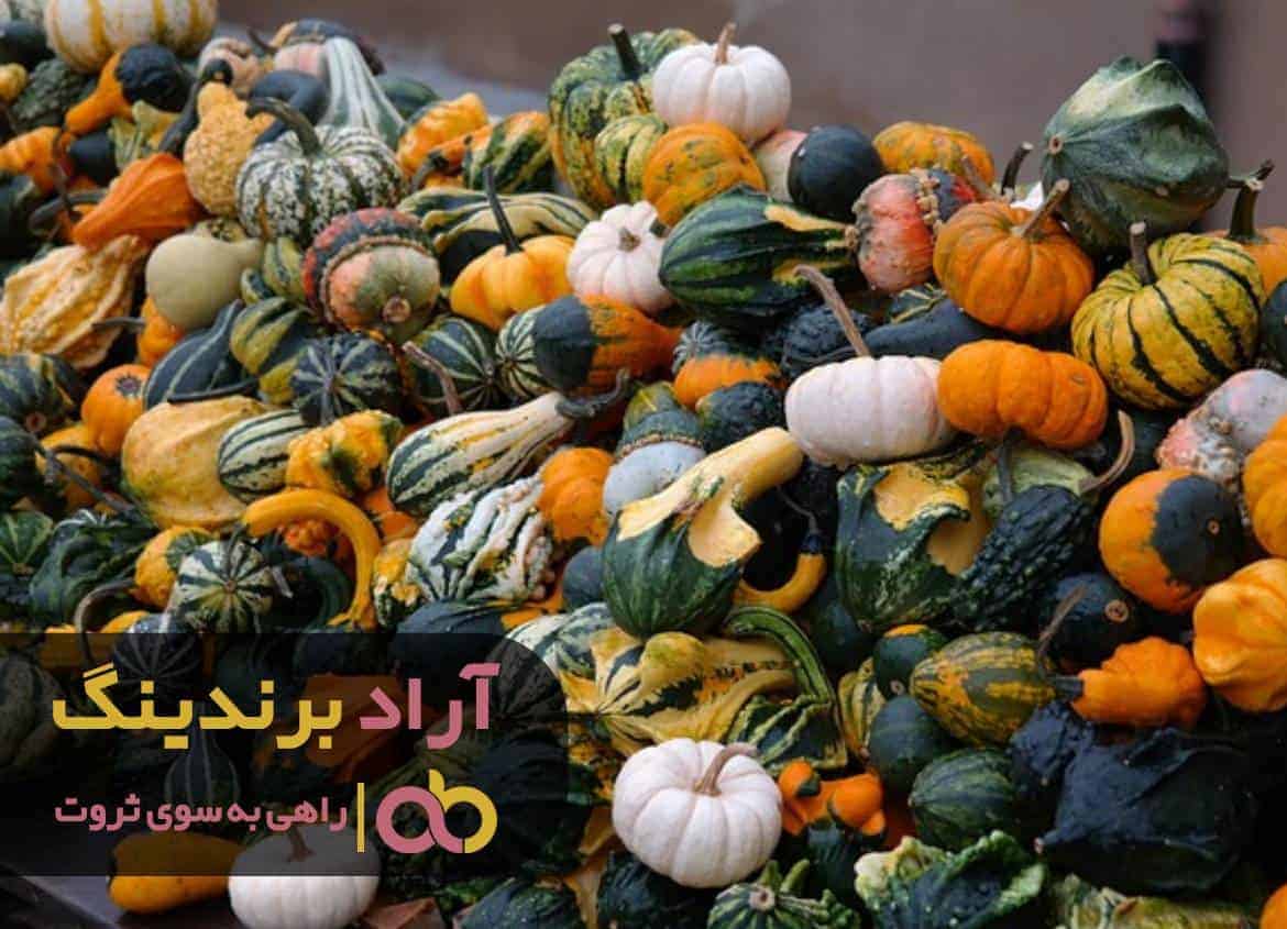 word image 219030 3 - تقویت بتاکاروتن با کدو حلوایی -