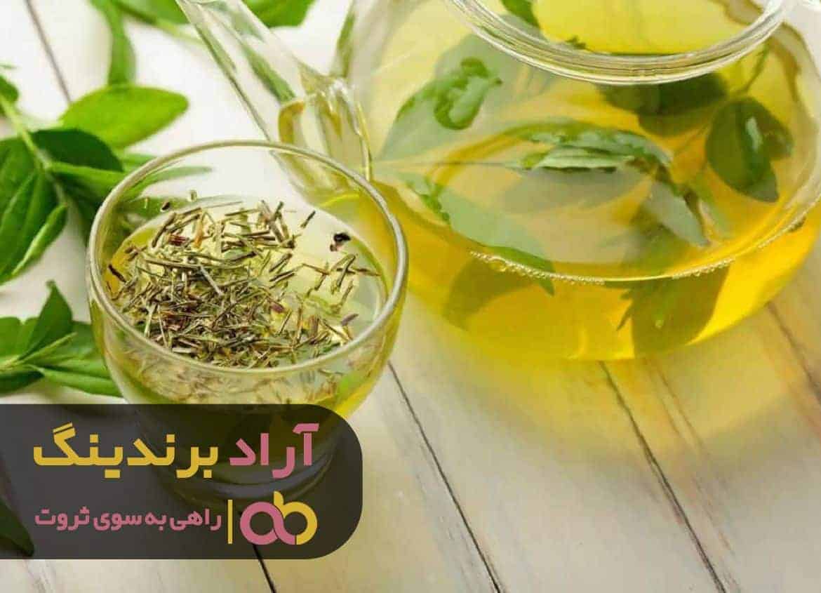 قدرت جذب مرا به سمت پول روانه کرد