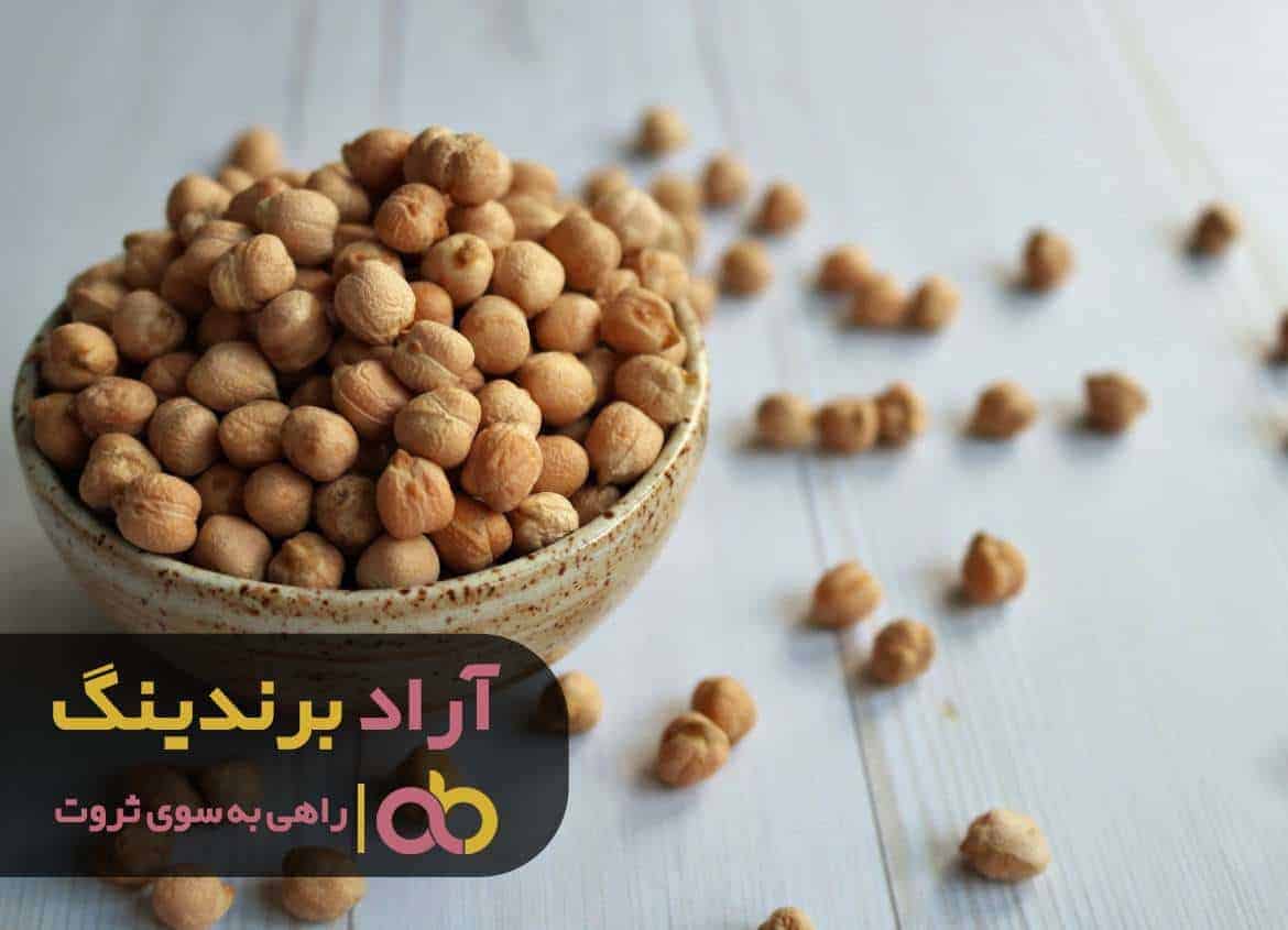 مسیر خارق العاده تلاش و پشتکارم به ثروتمندی ختم شد