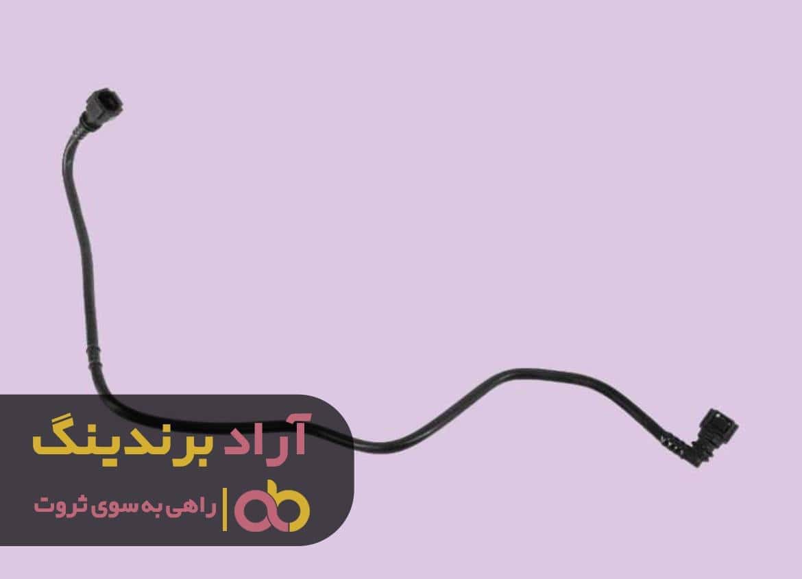 ثروت برای من به طور شگفت آوری رخ داد