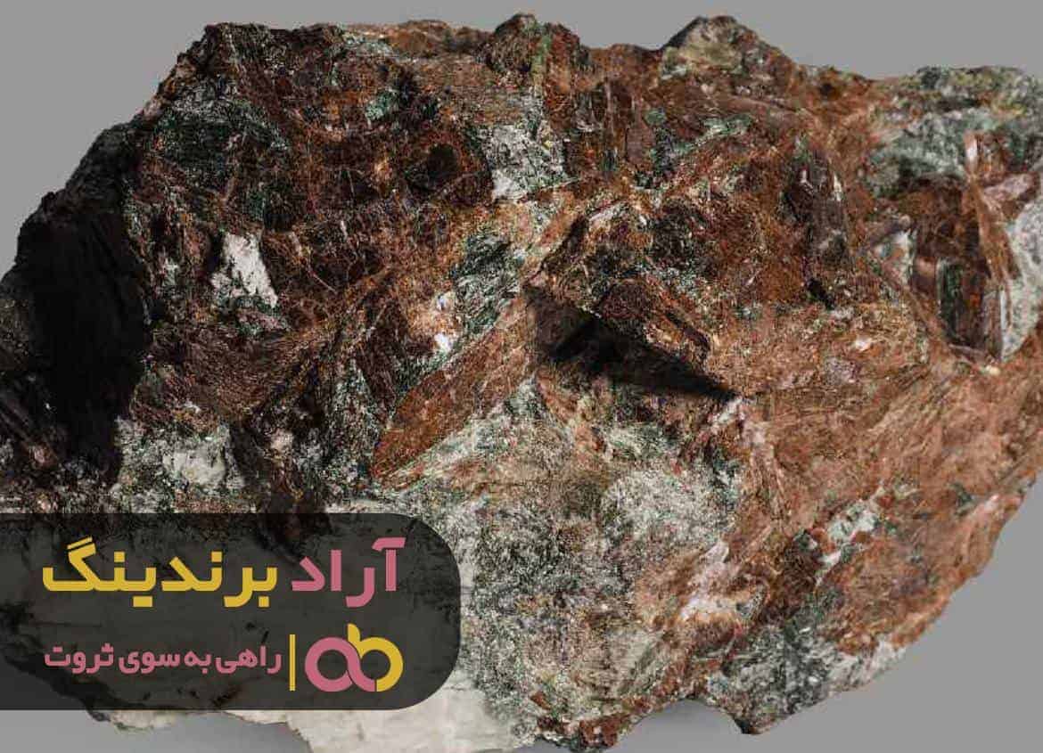 word image 221558 1 - برای رسیدن به ثروت توانایی هایت رو پیدا کن -