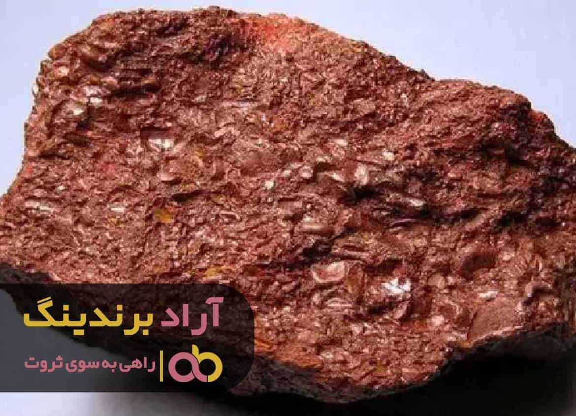 برای رسیدن به ثروت توانایی هایت رو پیدا کن