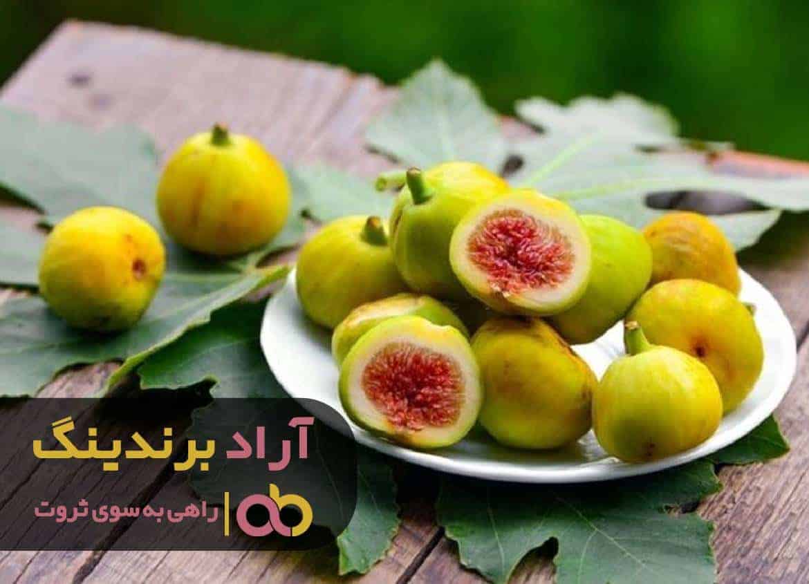 با صیانت نفس به استقبال ثروت بروید