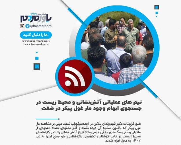 مار غول پیکر در شفت - تیم‌های عملیاتی آتش‌نشانی و محیط‌زیست در جستجوی ابهام وجود مار غول پیکر در شفت - شفت