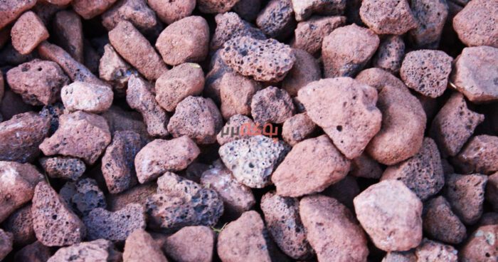 168981791471 - چرا پوکه معدنی برای نگهداری از گیاهان بسیار مناسب است؟ - باغبانی