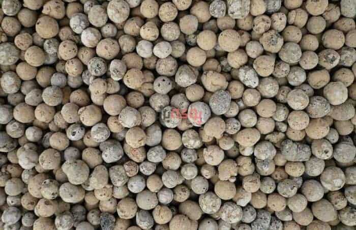 168981797499 - چرا پوکه معدنی برای نگهداری از گیاهان بسیار مناسب است؟ - باغبانی