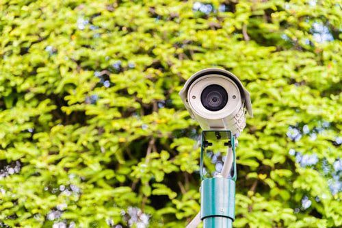  دوربین برای باغ 