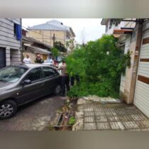 سقوط درخت بر روی خودروی ریو در رشت