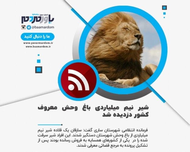 شیر نیم میلیاردی باغ وحش معروف کشور دزدیده شد - شیر نیم میلیاردی باغ وحش معروف کشور دزدیده شد - باغ وحش