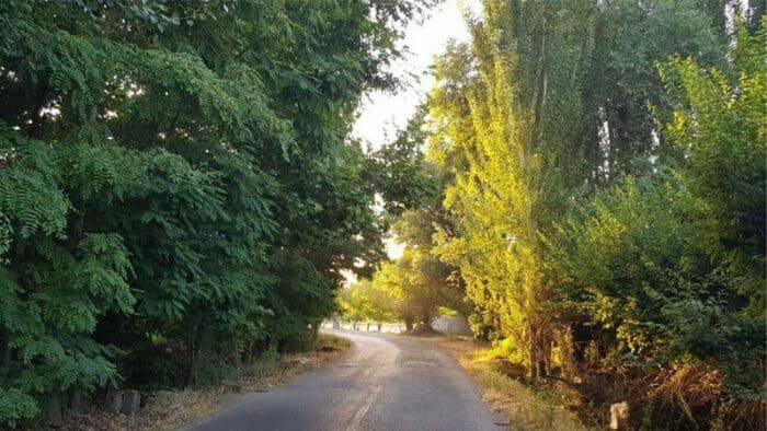 IMG 20231019 201356 167 - سرخاب بهترین جای تهراندشت - تهراندشت