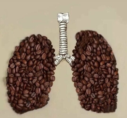 خرید قهوه عمده 