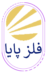 images 1706280831 65b3c77f677e9 - خرید ورق استیل از فلز پایا ، نکات مهمی که باید بدانید - فلز پایا