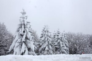 گزارش تصویری جلوه زیبای برف در محور سیاهکل به دیلمان