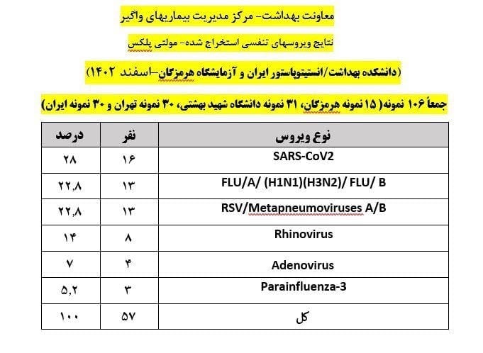 14021229111919506296480610 - “کرونا و آنفلوانزا” شایع ترین ویروس های در گردش در کشور - آنفلوانزا