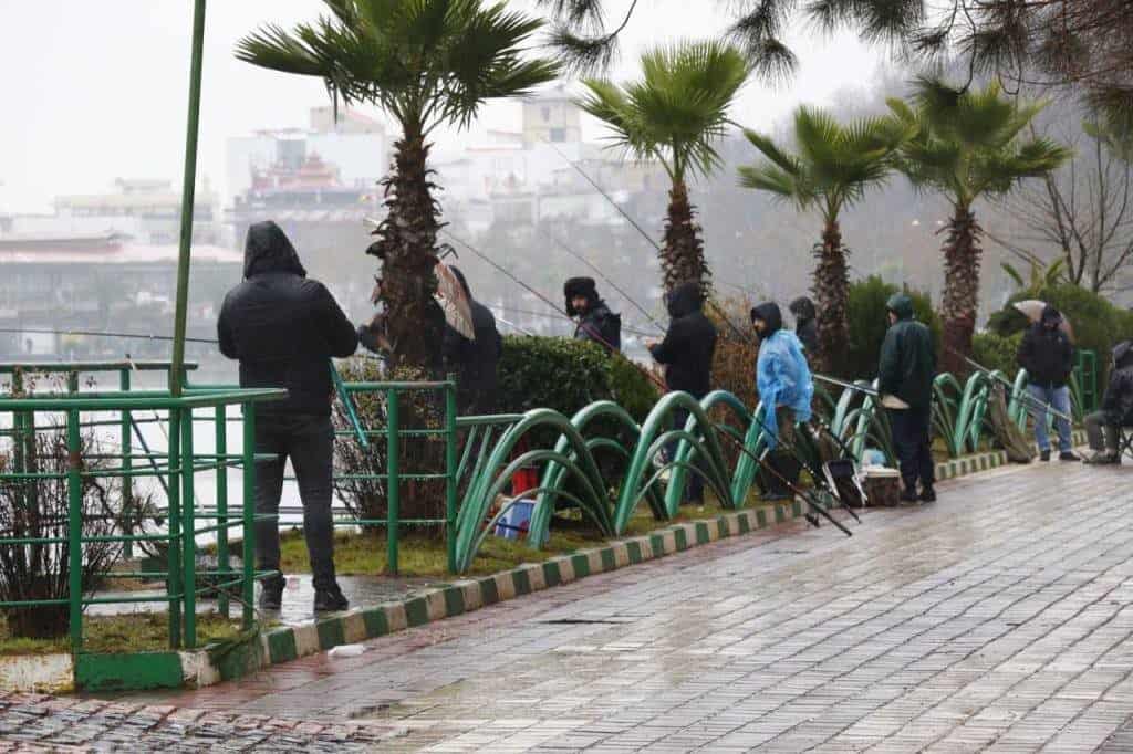 جشنواره ماهیگیری خانوادگی در استخر لاهیجان برگزار شد