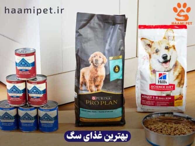 بهترین غذای سگ