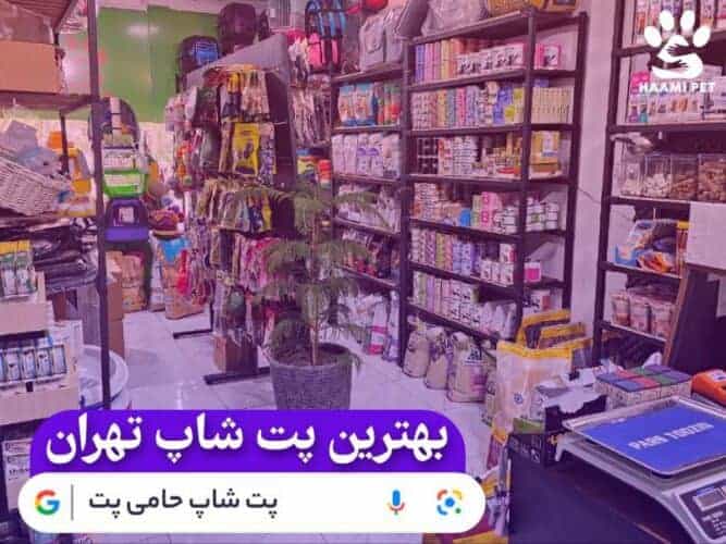 بهترین پت شاپ تهران - پت شاپ تهران - پت شاپ حامی پت