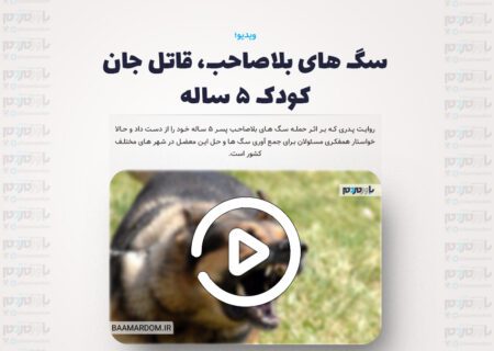 سگ های بلاصاحب، قاتل جان کودک ۵ ساله