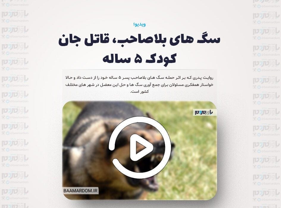 سگ های بلاصاحب، قاتل جان کودک ۵ ساله