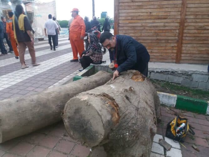 نخستین جشنواره مجسمه های چوبی لاهیجان آغاز بکار کرد 1 - نخستین جشنواره مجسمه های چوبی لاهیجان آغاز بکار کرد - لاهیجان