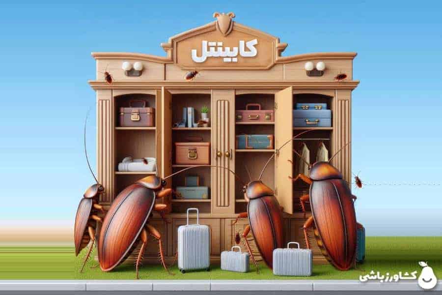 کابینتت شده هتل سوسک‌ها؟ با این سم، یه شب تا صبح همه رو نابود کن!