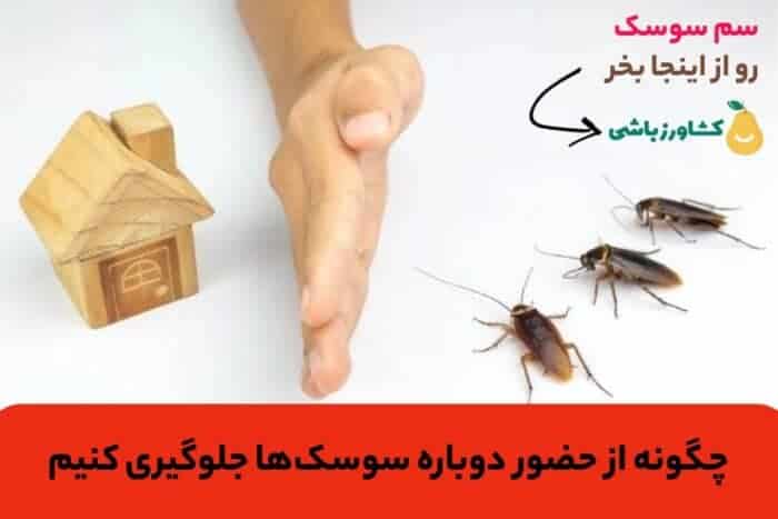 چگونه از حضور دوباره سوسک‌ها جلوگیری کنیم