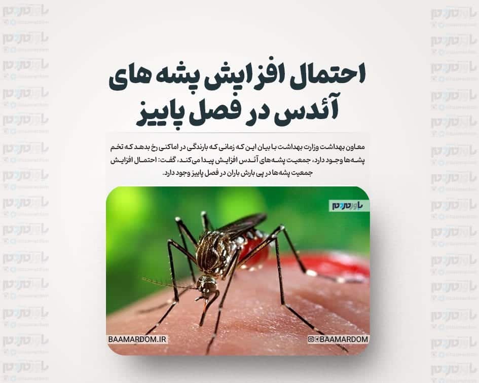 احتمال افزایش پشه های آئدس در فصل پاییز