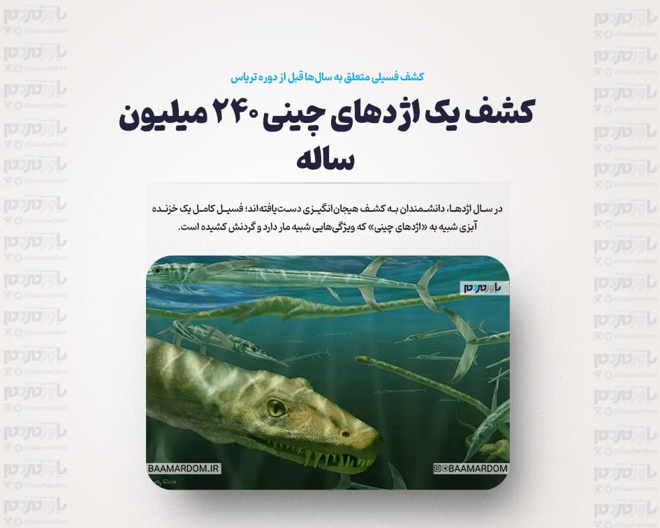 کشف یک اژدهای چینی ۲۴۰ میلیون‌ ساله
