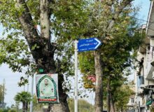 یک کوچه در لاهیجان به نام شهید علیرضا آقاجانی مزین شد