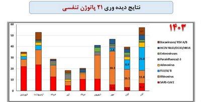 t3 1735370519 63297892 - آنفلوآنزا در راس ویروس های در گردش کشور - آنفلوآنزا