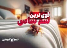 قوی ترین سم برای ساس