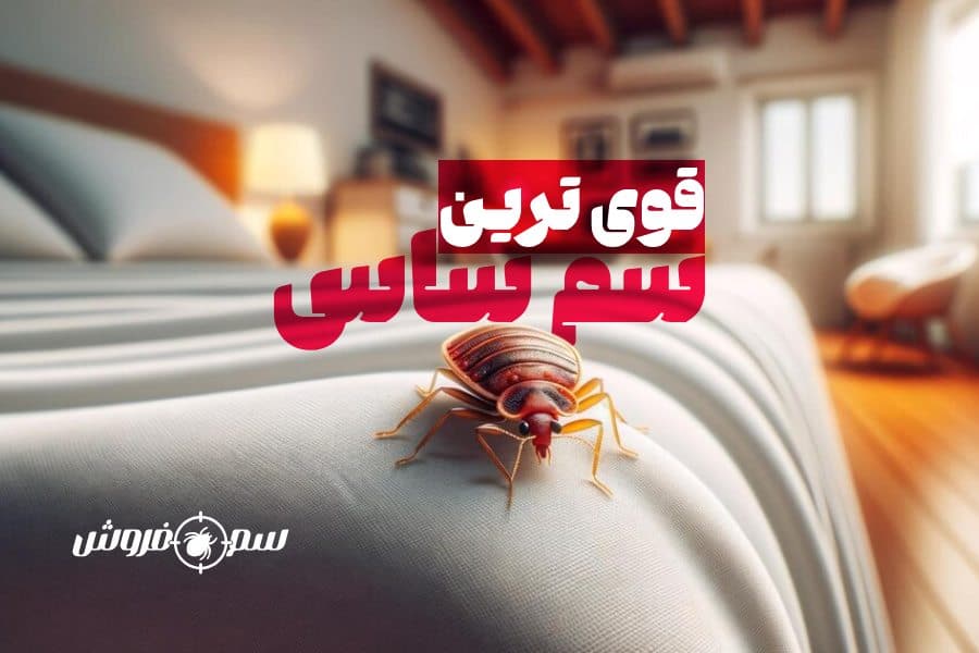 قوی ترین سم برای ساس